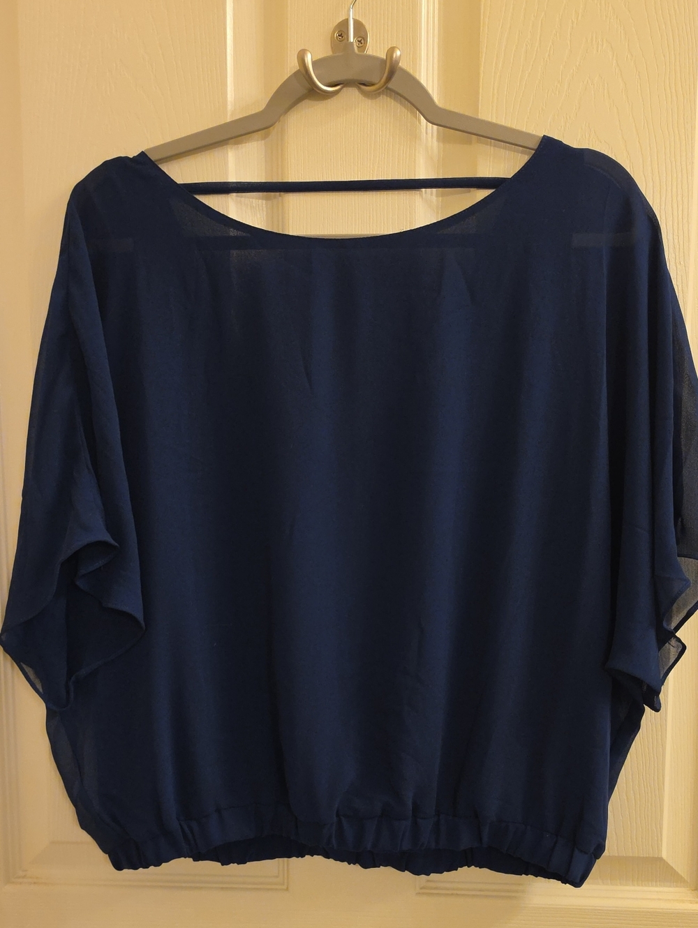 Naked Zebra Blue Sheer Dolman Batwing Blouse Top - Large